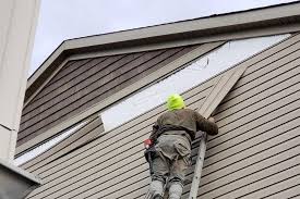 Best Siding Replacement  in Sylvania, GA